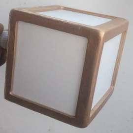 Extreme Budweiser Light Can